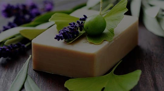 Scrivici per diventare nostro rivenditore