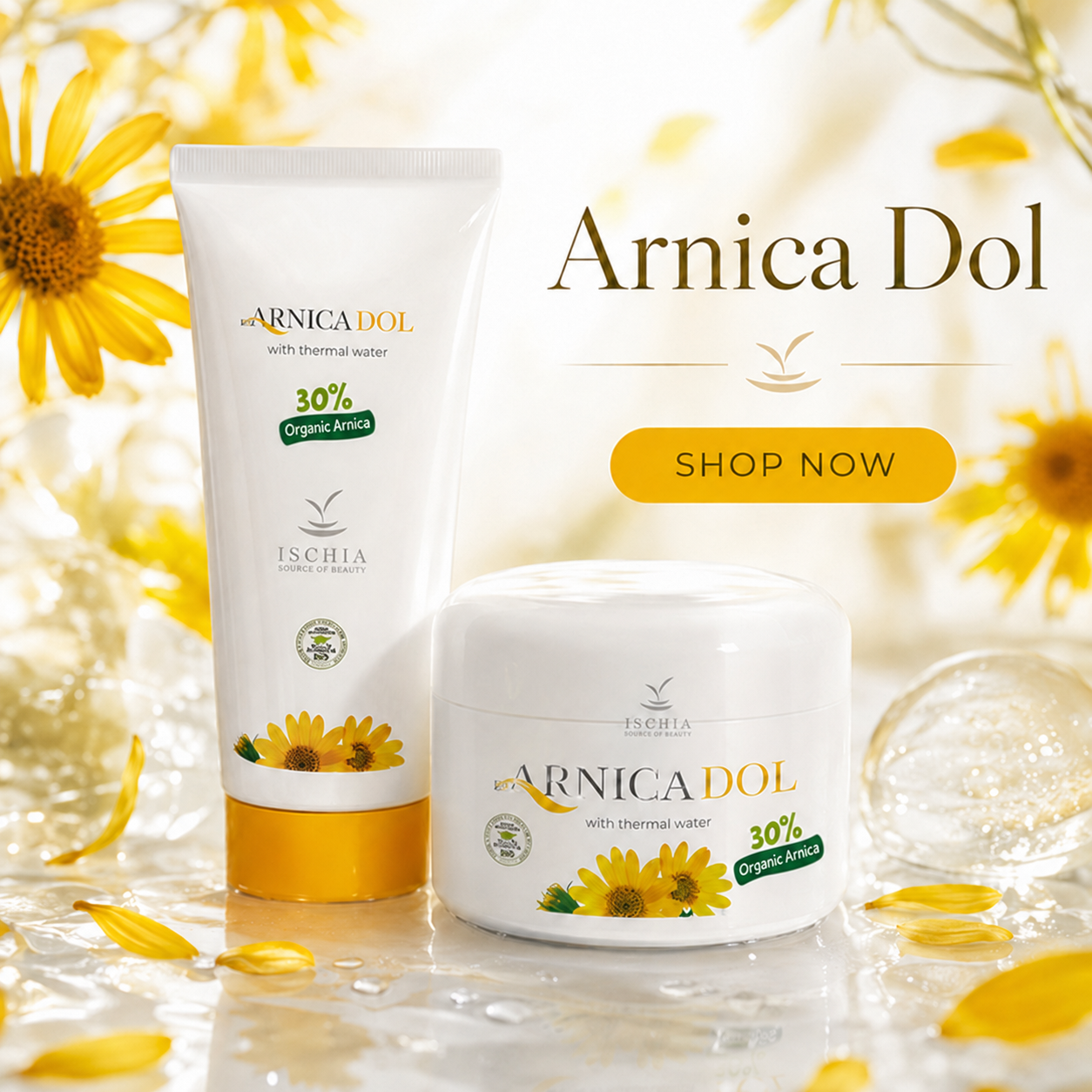 Arnica Dol image